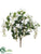 Wisteria Bush - White - Pack of 12