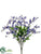 Wisteria Bush - Blue - Pack of 12