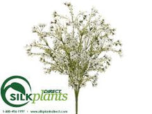 Wax Flower Bush - Cream - Pack of 12