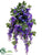 Wisteria Bush - Purple - Pack of 6