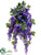Wisteria Bush - Purple - Pack of 6
