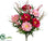 Zinnia, Bellflower Bush - Beauty Pink - Pack of 12