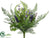 Muscari, Berry, Flower Bush - Purple - Pack of 12