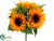 Sunflower, Fern, Daisy Bush - Yellow - Pack of 12