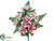 Lily, Rose Bud Bush - Rubrum Pink - Pack of 12