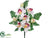 Cymbidium Orchid, Rose Bud Bush - White Orchid - Pack of 12