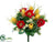 Anemone, Tulip Bush - Red Yellow - Pack of 12