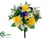Daffodil, Iris, Tulip Bush - Yellow Purple - Pack of 12