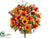 Gerbera Daisy, Berry, Pumpkin Bush - Fall - Pack of 6