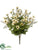 Daisy, Caspia Bush - Ivory Sage - Pack of 12