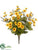 Daisy, Caspia Bush - Yellow - Pack of 12