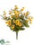 Daisy, Caspia Bush - Yellow - Pack of 12