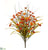 Wild Lantana, Grass Bush - Orange Flame - Pack of 12