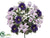 Lily, Gerbera Daisy, Rose Bush - Purple Mixed - Pack of 6