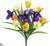 Tulip, Iris Bush - Yellow Purple - Pack of 12