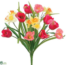 Tulip, Daffodil Bush - Lilac Yellow - Pack of 12