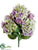 Hydrangea, Rose Bush - Lavender Green - Pack of 6