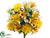 Dahlia, Freesia, Easter Lily, Berry Bush - Yellow Cream - Pack of 6
