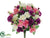 Mini Mum Bush - Orchid Pink - Pack of 12