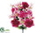 Peony, Lily, Hydrangea Bush - Beauty Pink - Pack of 6
