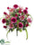 Rose, Lily Bush - Pink Beauty - Pack of 12