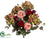 Hydrangea, Rose Bush - Green Burgundy - Pack of 6