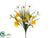 Daffodil, Narcissus, Butterfly, Grass Bush - Yellow - Pack of 6