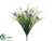 Prairie Flower, Grass Bush - Purple - Pack of 12