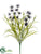 Wild Thistle, Grass Bush - Lavender - Pack of 12