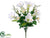 Easter Lily, Daisy Bush - White - Pack of 12