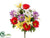 Gerbera Daisy, Lily Bush - Mixed - Pack of 12