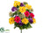 Daisy, Hydrangea Bush - Yellow Beauty - Pack of 6