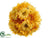 Gerbera Daisy Kissing Ball - Yellow Two Tone - Pack of 12