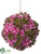 Kalanchoe Orb - Pink - Pack of 6