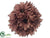 Mum Orb - Brown - Pack of 12