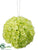 Viburnum Kissing Ball - Lime - Pack of 12