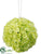 Viburnum Kissing Ball - Lime - Pack of 12