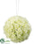 Viburnum Kissing Ball - White - Pack of 12