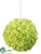 Viburnum Kissing Ball - Lime - Pack of 6