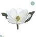 Silk Plants Direct Magnolia - White - Pack of 12