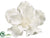 Silk Plants Direct Magnolia Hanging Flower Head - Cream White - Pack of 6