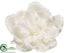Silk Plants Direct Magnolia Hanging Flower Head - Cream White - Pack of 6