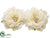 Peony Head - White - Pack of 6