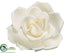 Silk Plants Direct Rose Hanging Flower Head - Cream White - Pack of 6