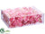 Rose Petals - Pink - Pack of 6