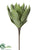 Silk Plants Direct Aloe Pick - Green Gray - Pack of 12