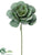 Silk Plants Direct Echeveria Bouquet Pick - Green Gray - Pack of 24