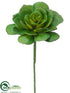 Silk Plants Direct Echeveria Bouquet Pick - Green - Pack of 24