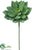 Silk Plants Direct Echeveria Bouquet Pick - Green Gray - Pack of 24
