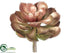 Silk Plants Direct Echeveria Pick - Copper Green - Pack of 12